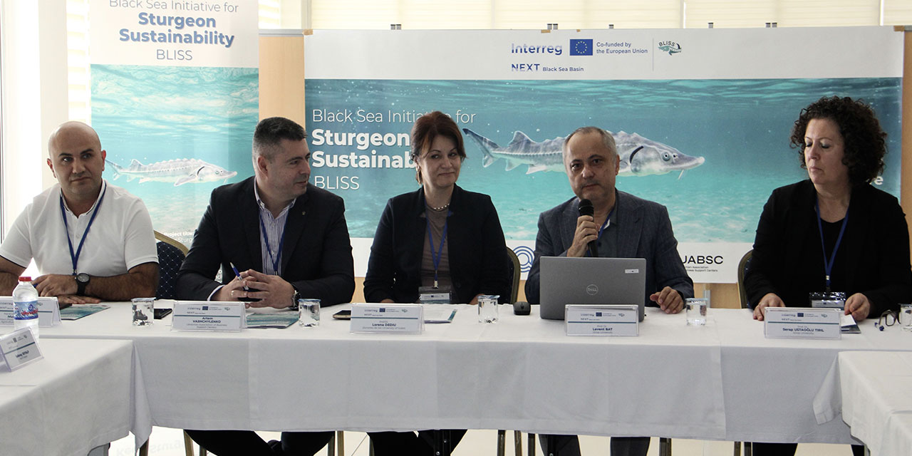 "Karadeniz'in biyolojik hazinesi" mersin balığının korunması için 4 ülke arasında işbirliğine gidildi