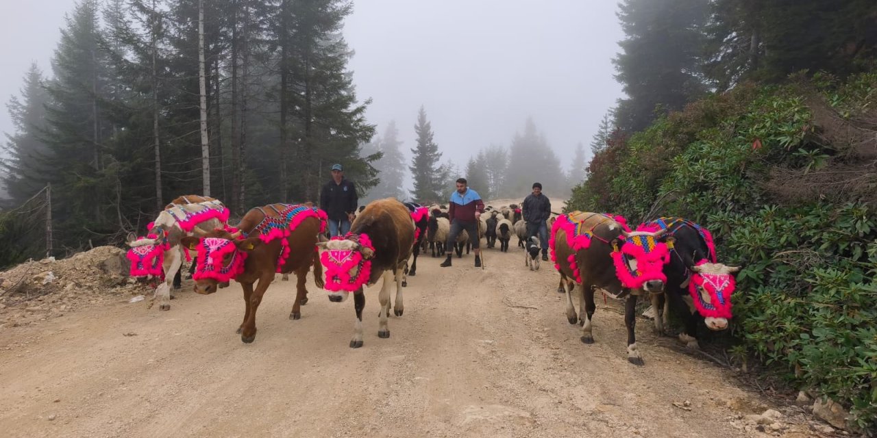 Doğu Karadeniz'de yaylalardan dönüşler hızlandı
