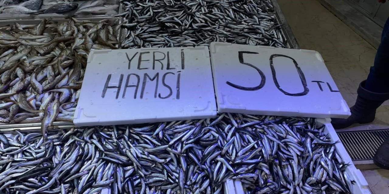 Sinop’ta hamsi fiyatları yarıya düştü
