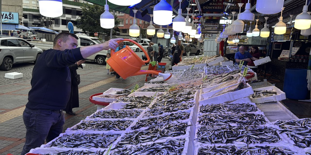 Doğu Karadeniz'de hamsi büyüklüğü ve bolluğuyla yüzleri güldürüyor