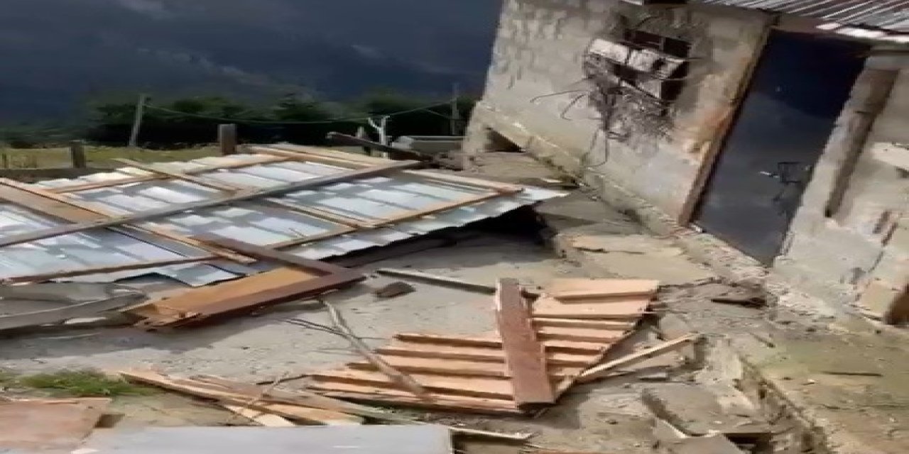 Rize yaylalarında ayı paniği: 20 ev talan edildi