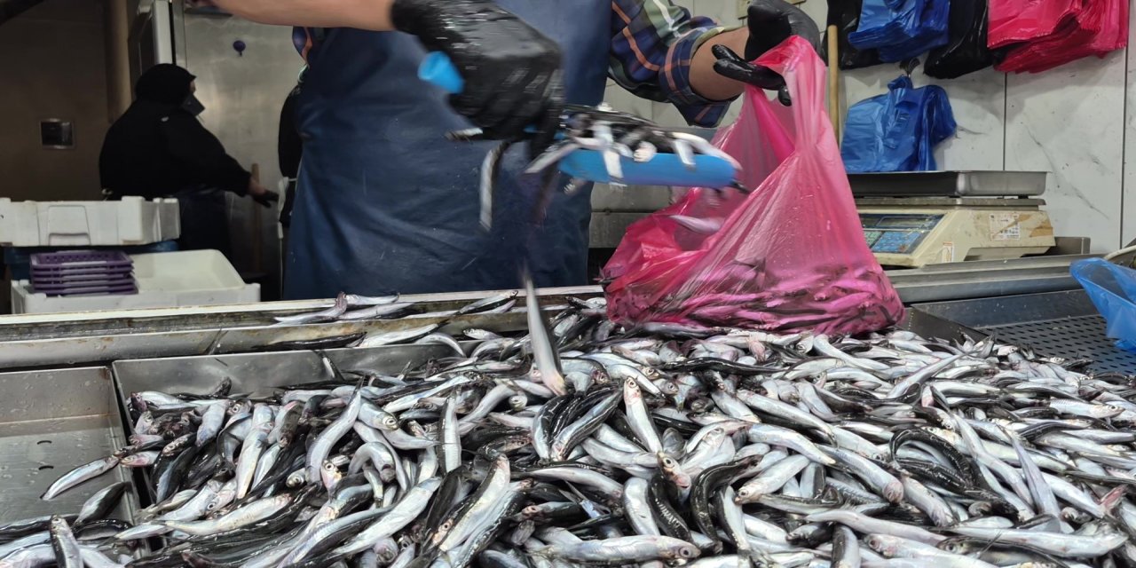 Yaz sıcakları palamudu vurdu, yerini hamsi aldı
