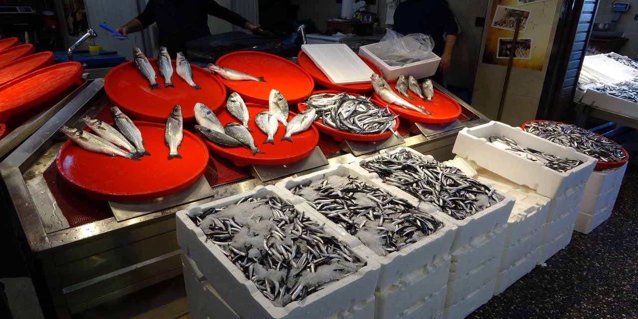 Palamut sezonu başlamadan bitti, umutlar seneye kaldı