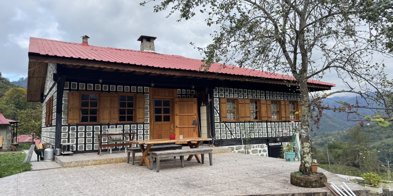 Kestane ağacından yapılan tescilli evler Arılı köyüne ziyaretçi çekiyor