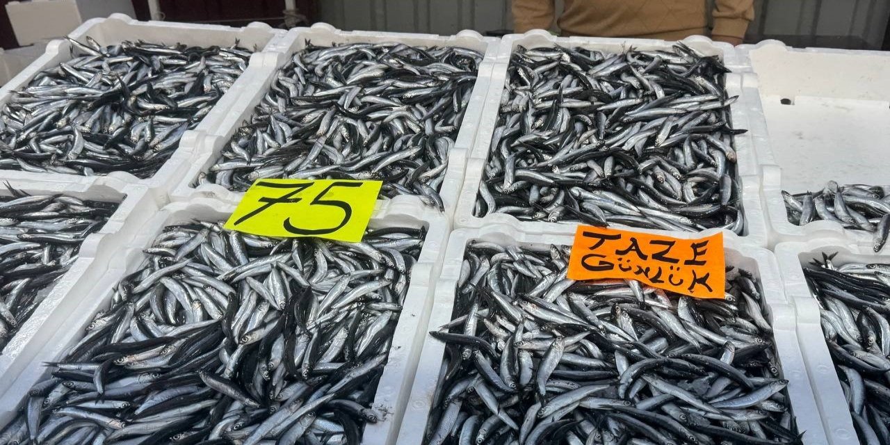 Zonguldak'ta hamsinin fiyatı 75 liraya düştü