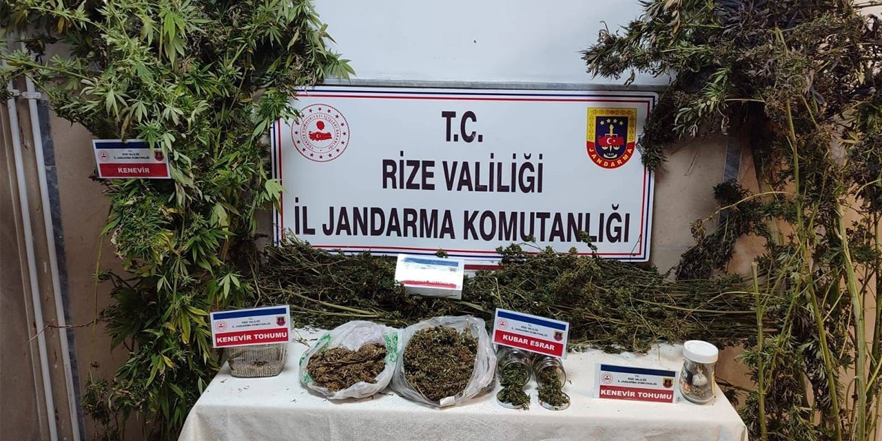 Rize'de Uyuşturucu Operasyonu: Esrar ve Kenevir Ele Geçirildi