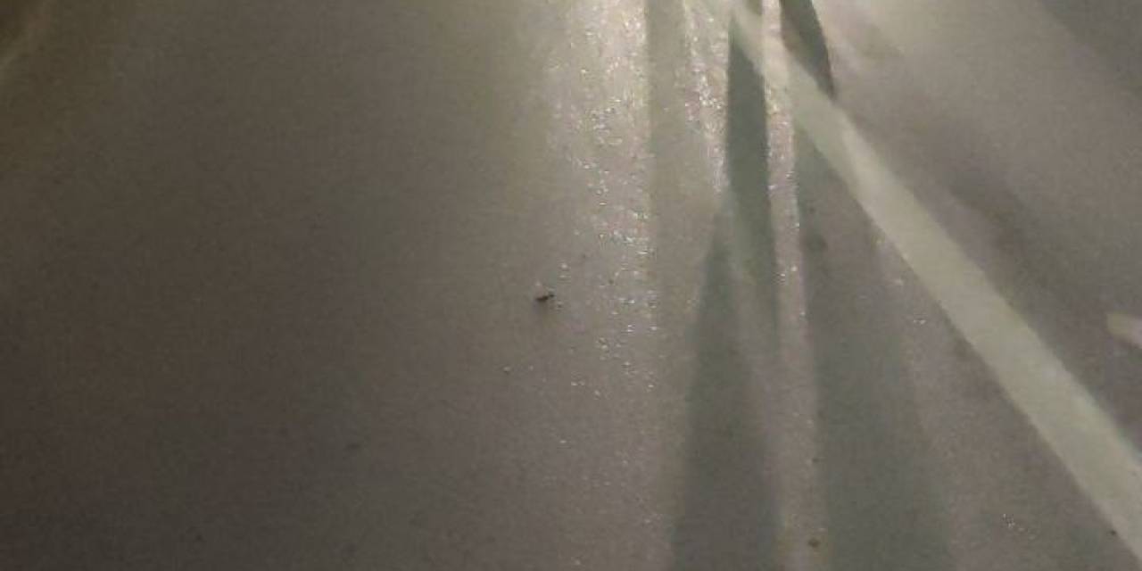 Otomobil İle Motosiklet Çarpıştı: 1’i Ağır 2 Yaralı