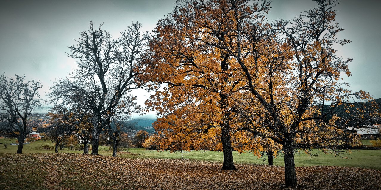 Şavşat'tan kartpostallık manzaralar