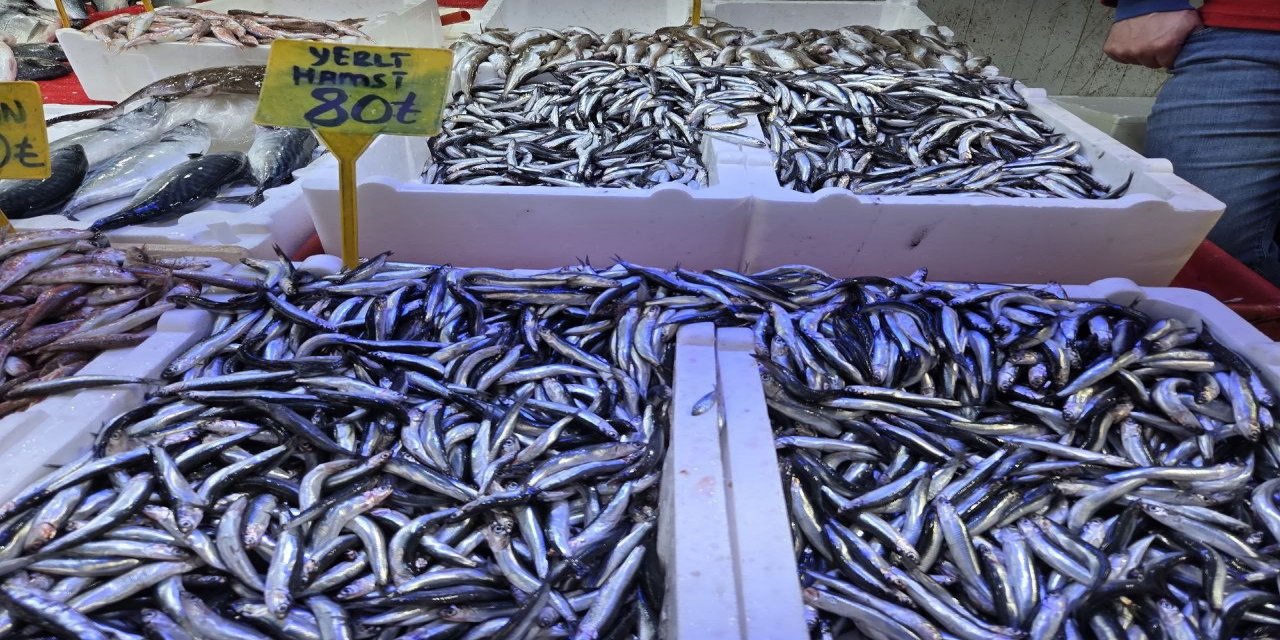 Tezgahlarda hamsi bolluğu