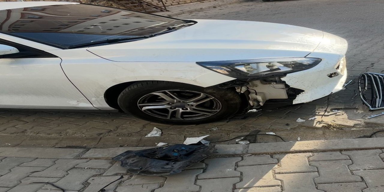 Sokak köpekleri ilçenin kabusu oldu: Otomobile 108 bin TL'lik zarar verdiler