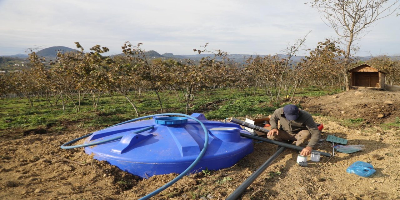 Ordu'da fındık bahçelerine kuraklık tehlikesine karşı damlama sistemi