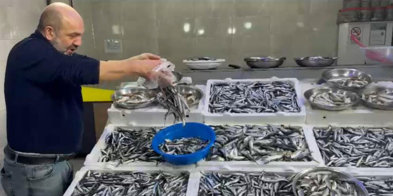Rize'de hamsinin fiyatı sevenlerinin yüzünü güldürüyor