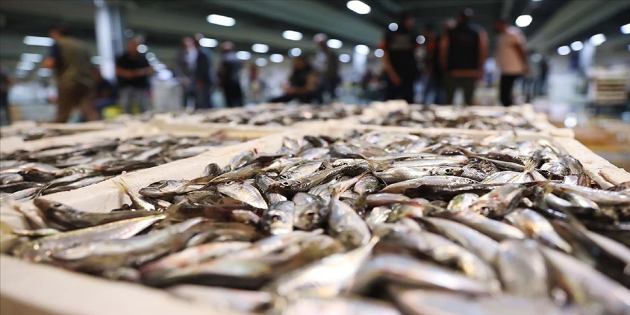 İstanbul'da halde, bu sezon 13 bin 923 ton balık satışa sunuldu
