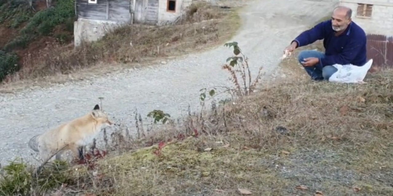 Rize'nin Pimbilona Yaylası’nda sıra dışı dostluk