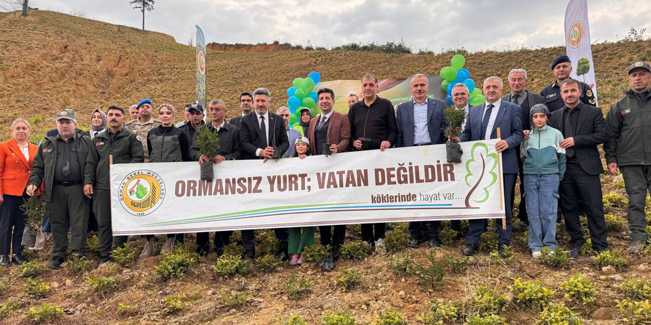 Güneysu'da "Geleceğe Nefes" Oldular: Yüzlerce Fidan Toprakla Buluştu