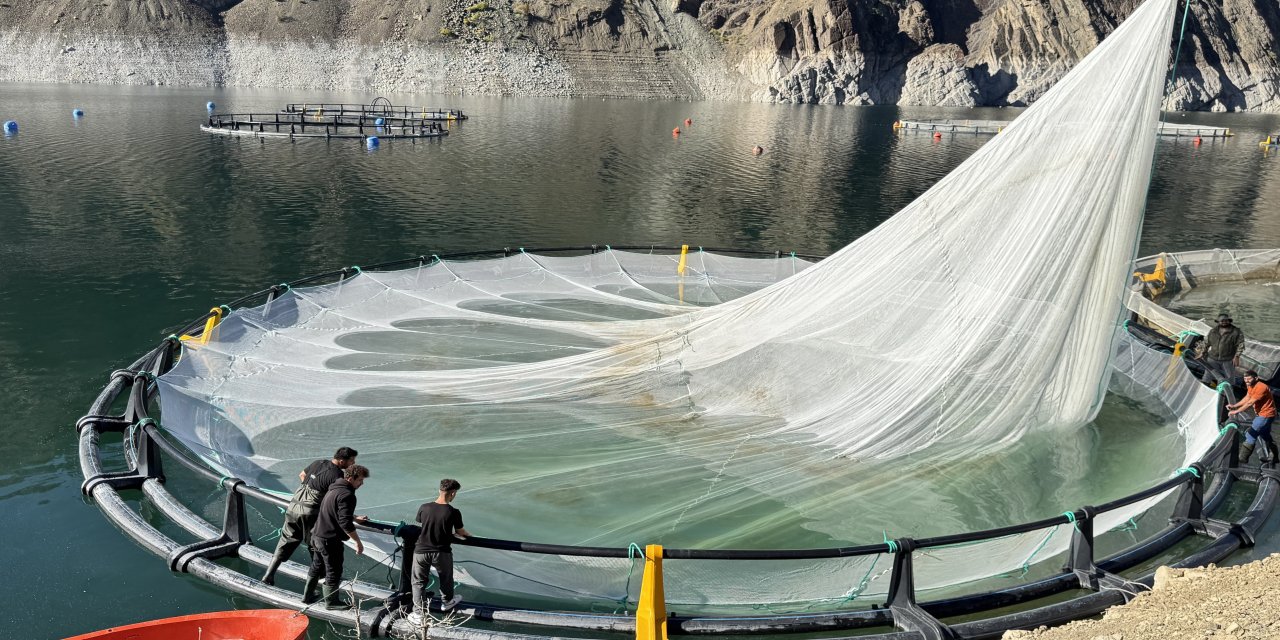 Artvin'den 67 ülkeye Türk somonu ihraç edildi