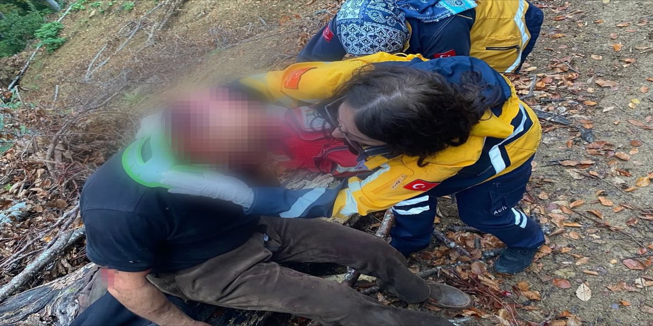 Ayının saldırısına uğrayan vatandaş için ekipler seferber oldu