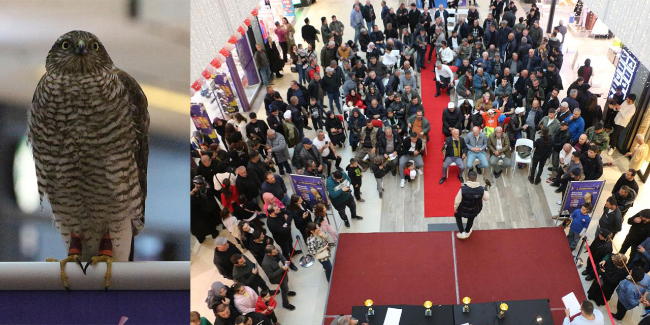 Rize'de "Atmaca Güzellik Yarışması" düzenlendi