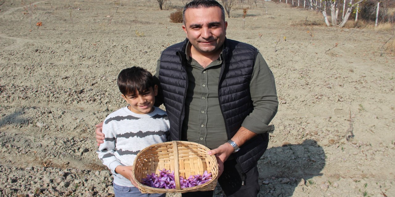 Denemek için ekti, 250 metrekarelik tarlasında dünyanın en pahalı baharatını yetiştirdi