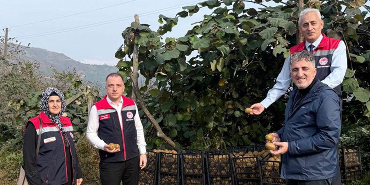 Rize'de Kivi Hasadı Başladı: Kalite İçin Kritik Kurallar Vurgulandı