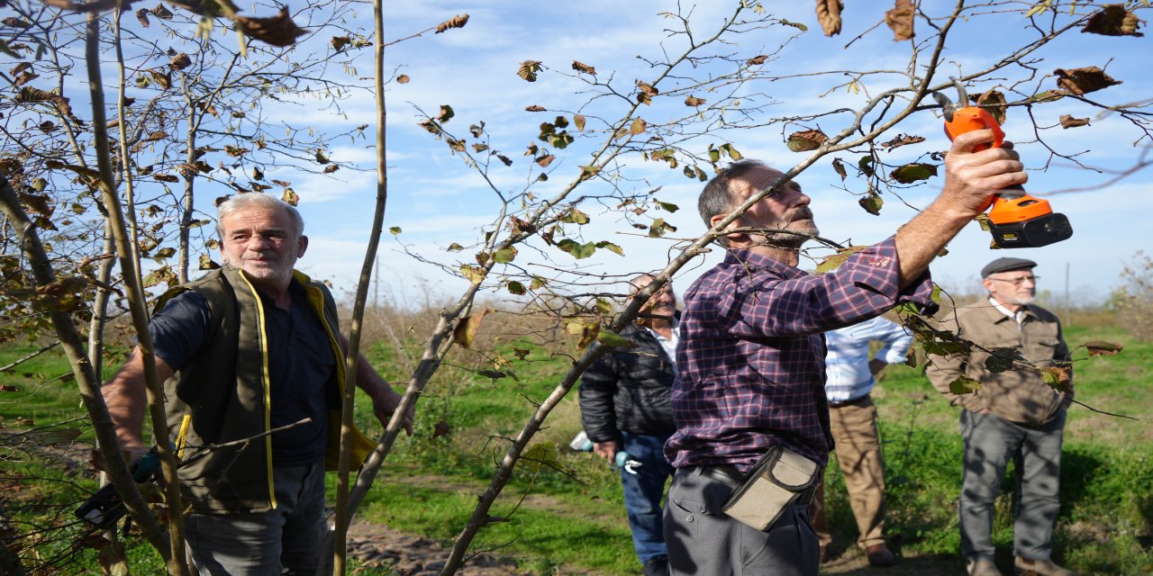 Fındıkta çok dal, çok fındık anlamına gelmiyor