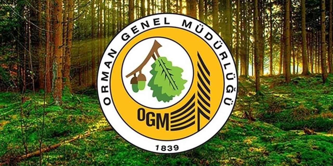 Bakan Yumaklı, Orman Genel Müdürlüğüne 496 sözleşmeli personel alınacağını bildirdi