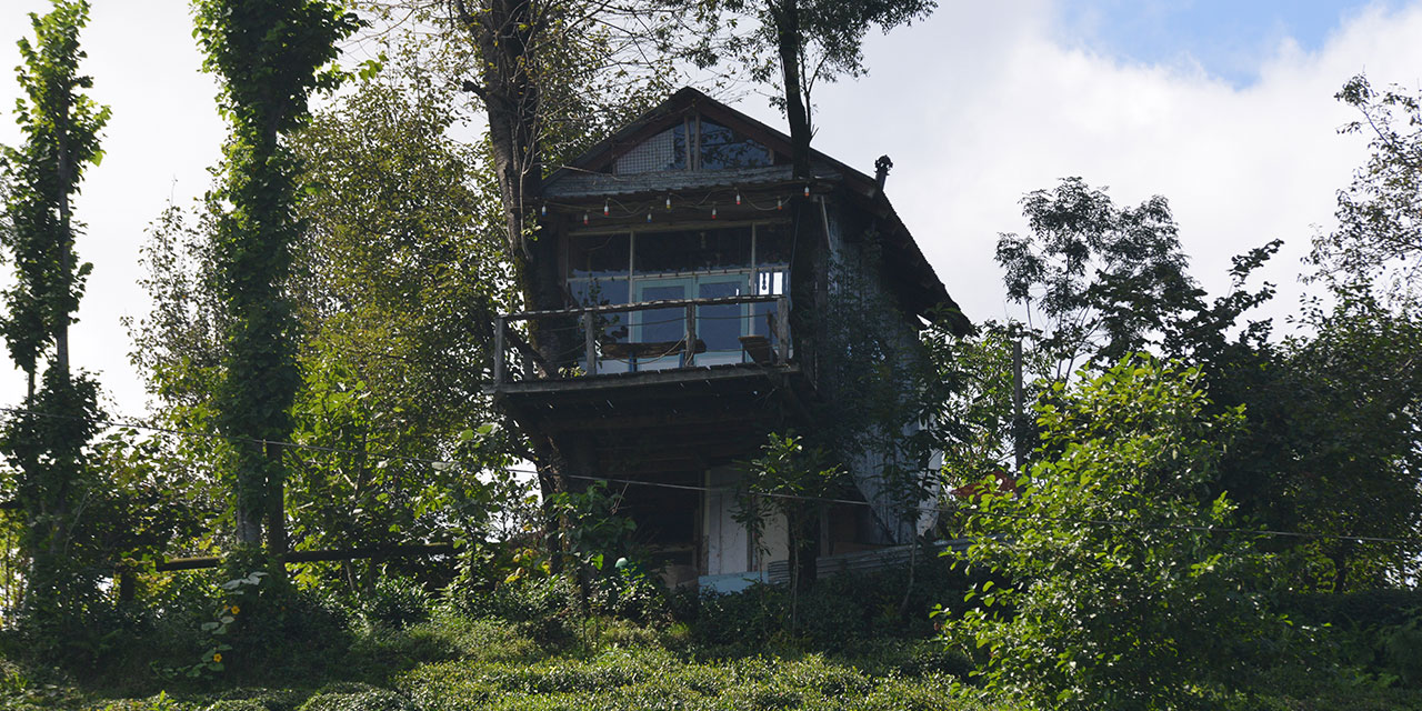 Rize'de iki kardeşin hayali gerçek oldu; atık malzemeden manzaralı ağaç ev yaptılar