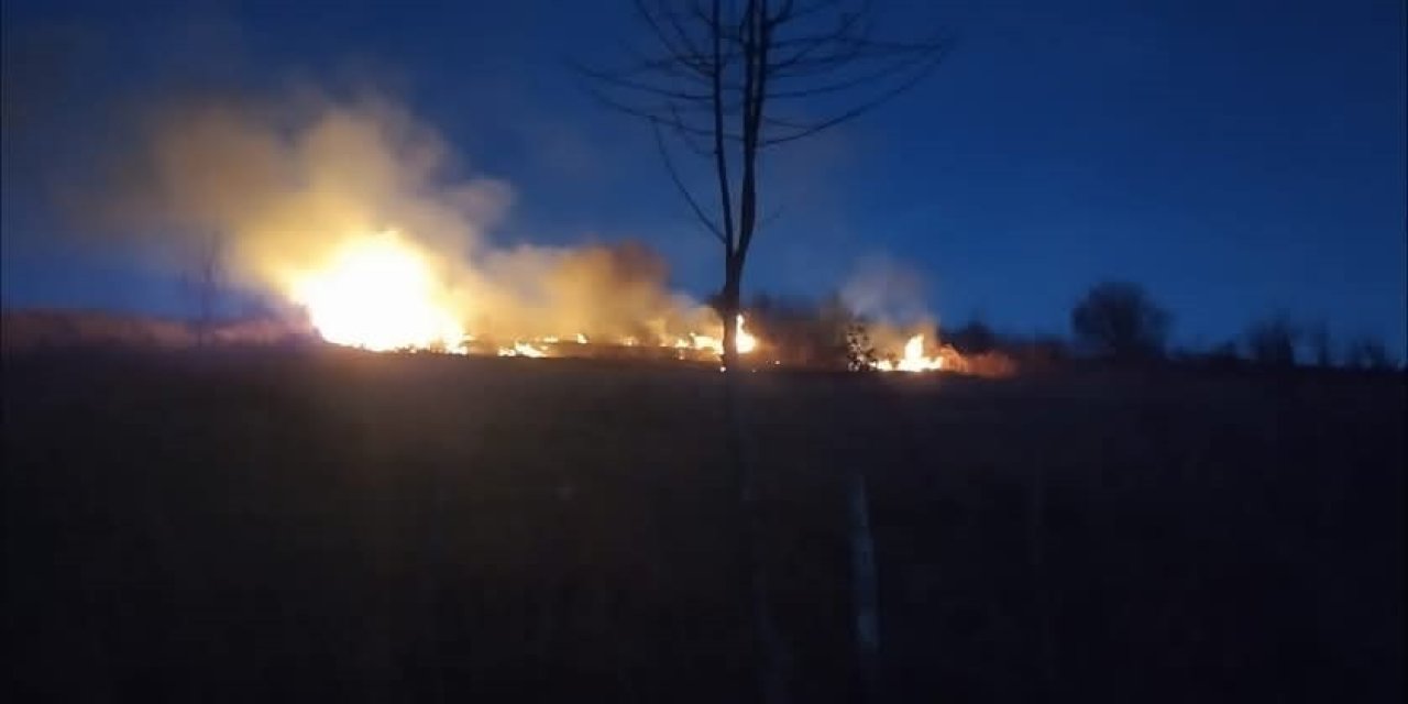 Ordu'da fındık bahçesinde yangın