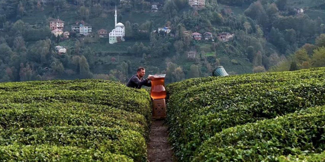 Rize'de dev çay bardağıyla yapılan çekim olay oldu: İzleyenler yapay zeka sandı