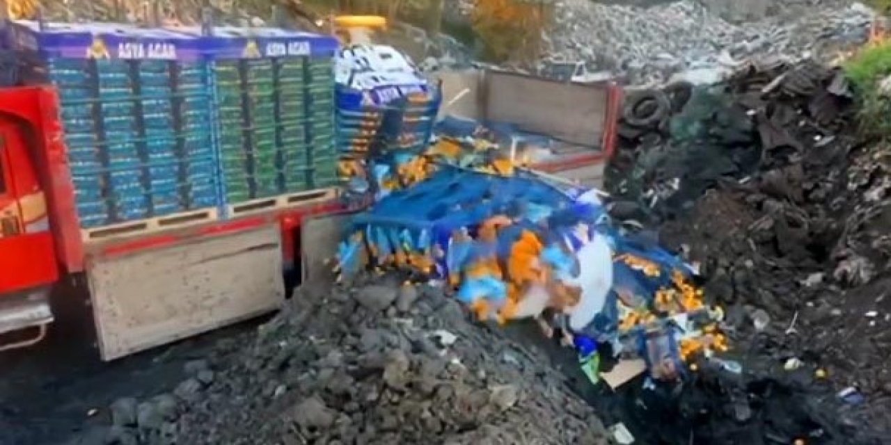 Sarp Sınır Kapısı'nda 6 ton mandalina imha edildi