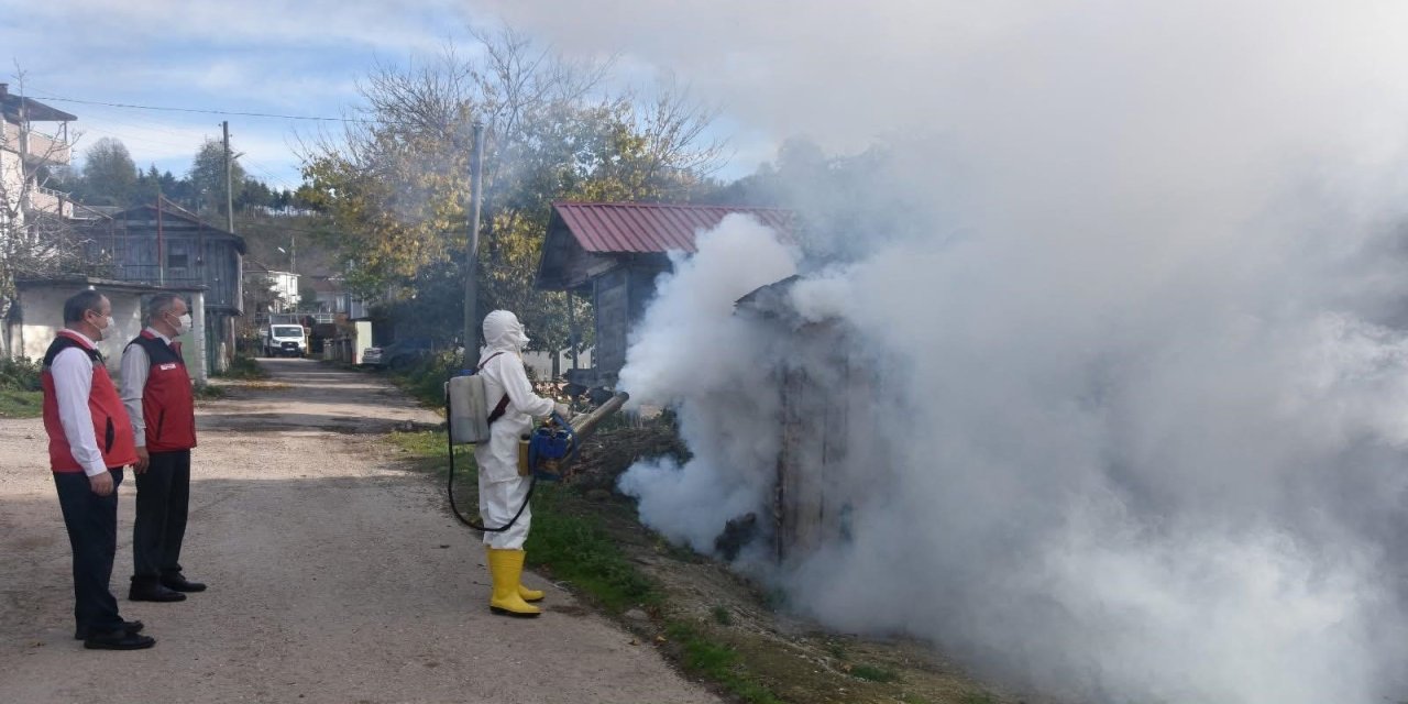 Ordu’da kokarcaya karşı 330 bin kışlak ilaçlanacak