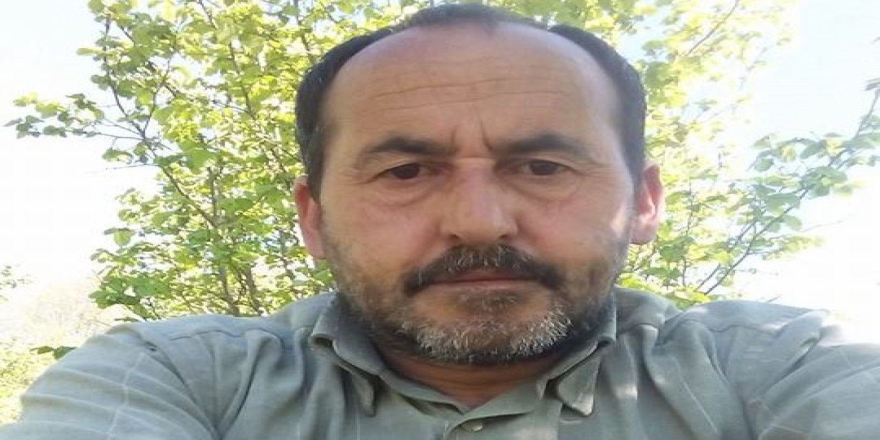 Üzerine serendi devrilip öldü