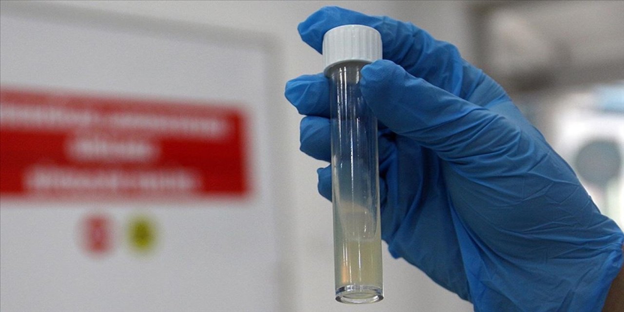 DSÖ: Tüberküloz nedeniyle her yıl bir milyon kişi hayatını kaybediyor