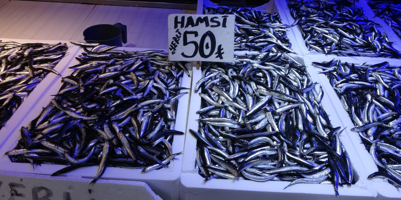 Karadeniz'den bu sezon adeta hamsi fışkırıyor