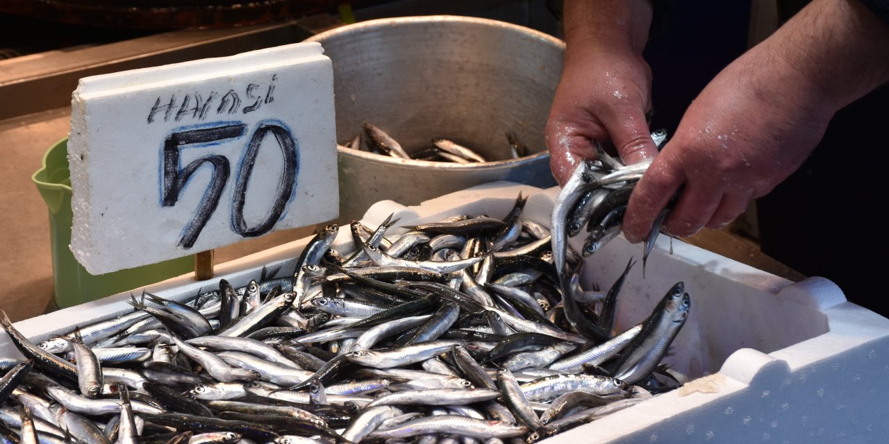Trabzon'da hamsinin kilogramı 50 liradan satılıyor