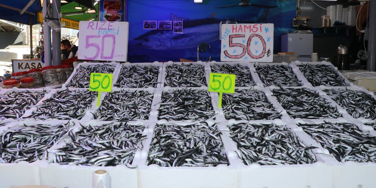 Rize'de hamsinin kilogramı 50 liradan satılıyor