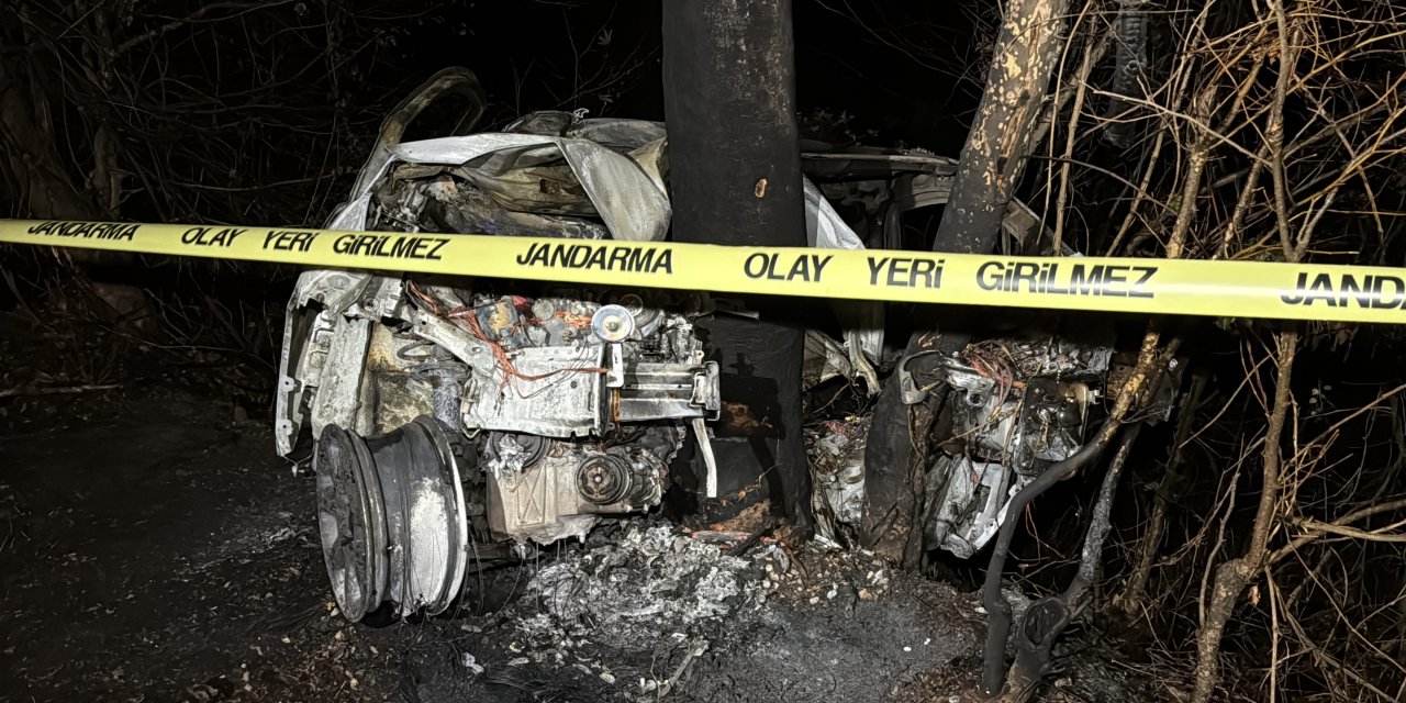 Ağaca çarpan hafif ticari aracın sürücüsü yanarak öldü