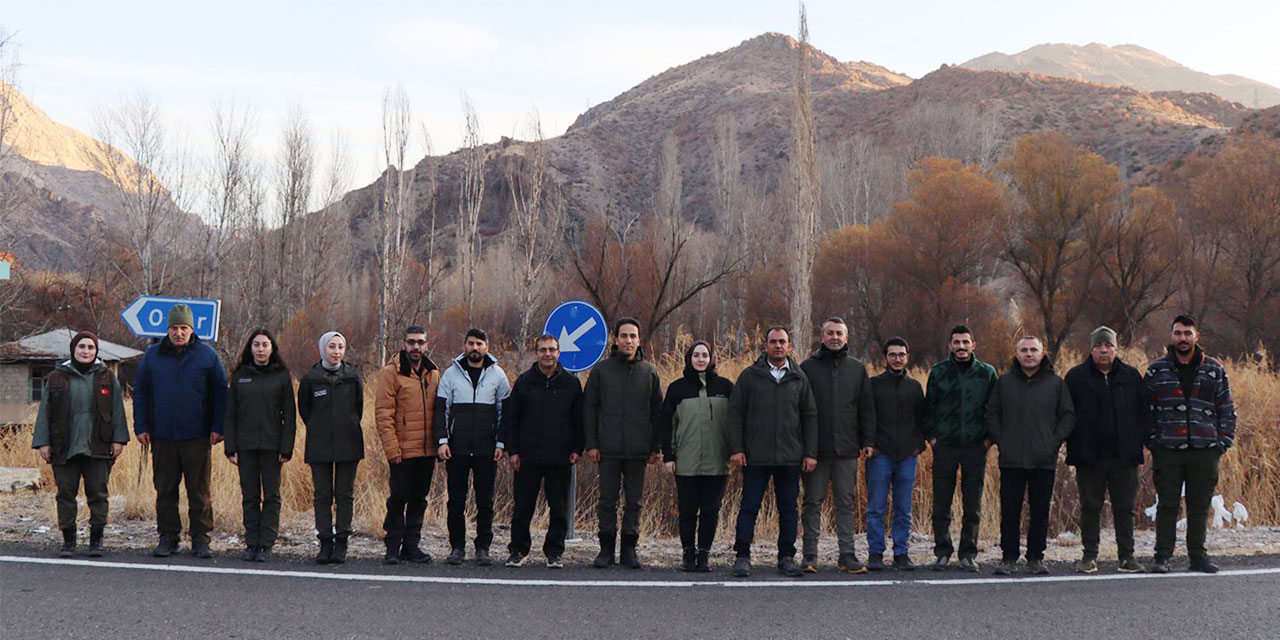 Erzurum'un 5 ilçesinde yaban keçisi envanter çalışması