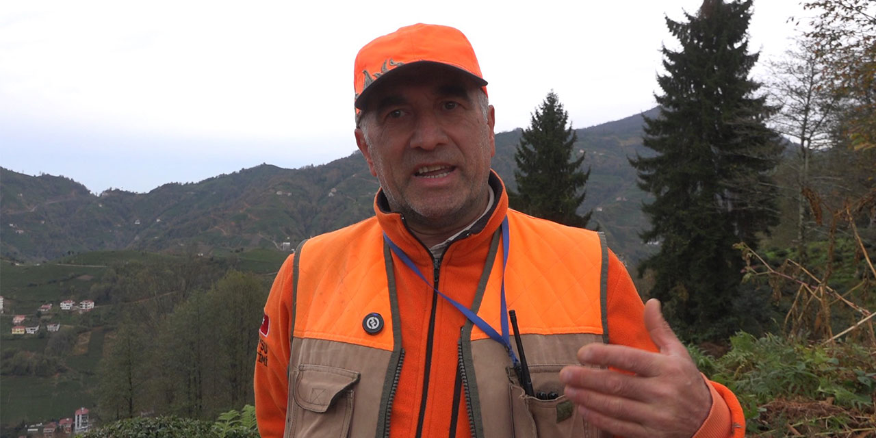 Rize'de ayı için sürek avı başlatıldı