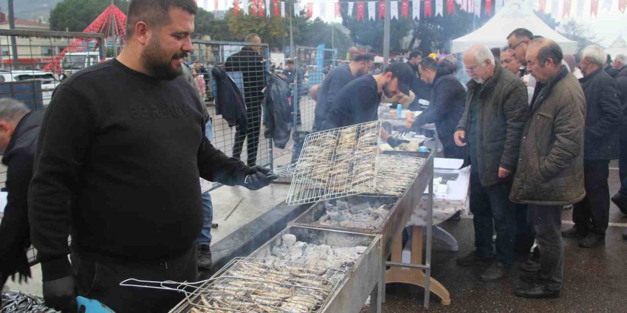 Binlerce Vatandaş Hamsi Festivalinde Buluştu: 7 Ton Hamsi Tüketildi