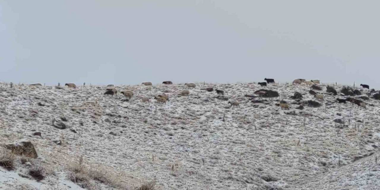 Van’da Kış Yüzünü Gösterdi: Erek Dağı Ve Çevresi Beyaza Büründü