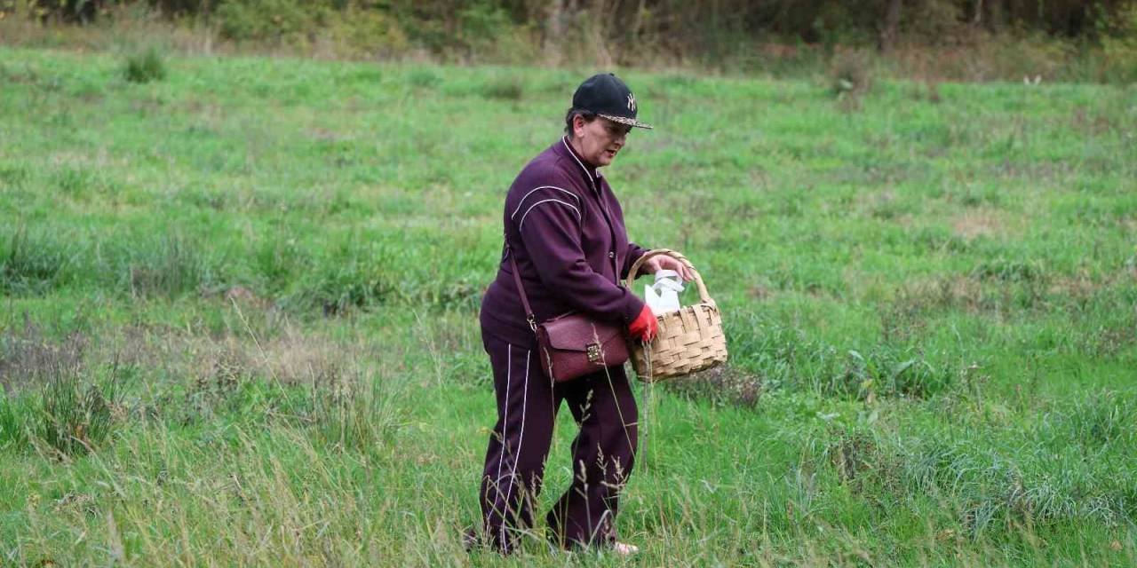 Doğaseverler Ormanya’nın Zengin Biyolojik Çeşitliliğini Keşfetti