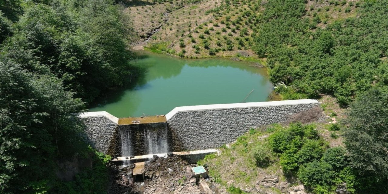 Ordu'da kuraklık riskine karşı gölet sayısı 100'e çıkarılacak