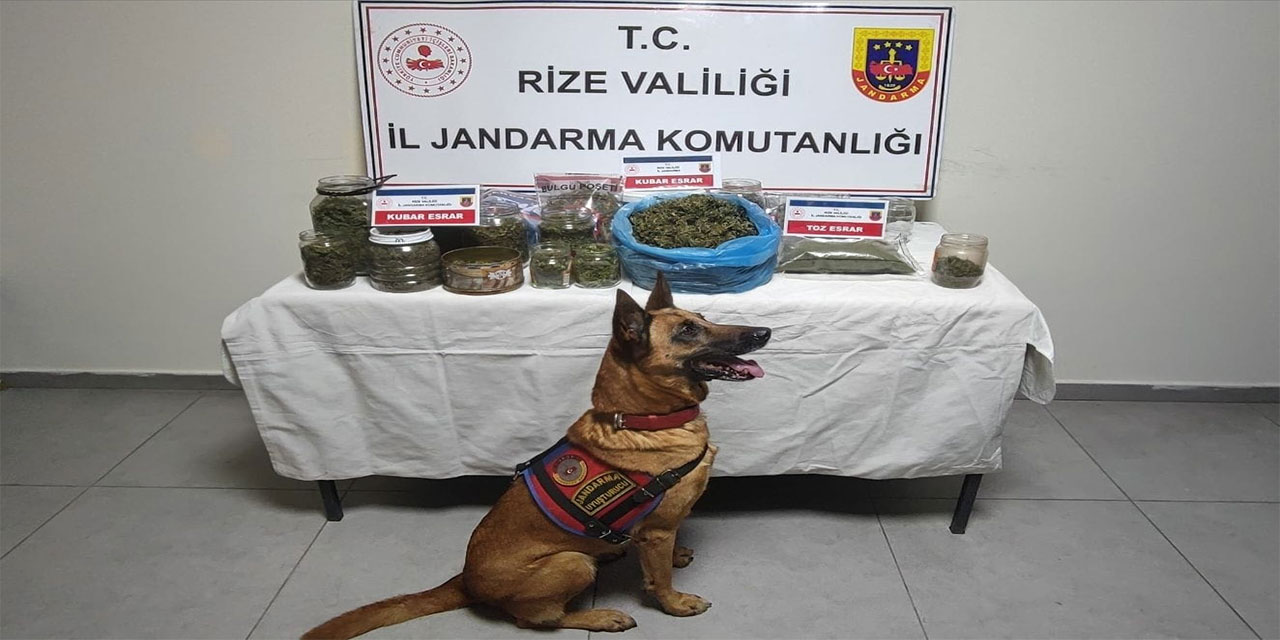 Rize'de Jandarmadan Uyuşturucu Operasyonu: 5 Gözaltı