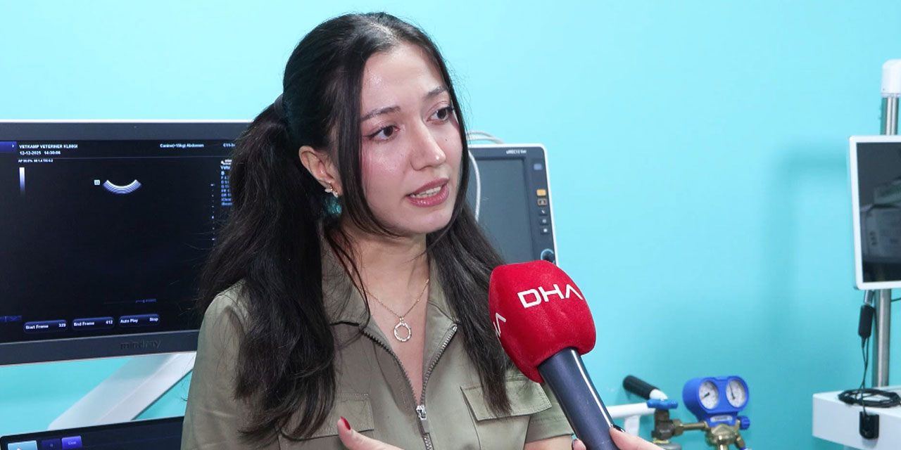 Evcil hayvanlara çip taktırmak için son gün 31 Aralık