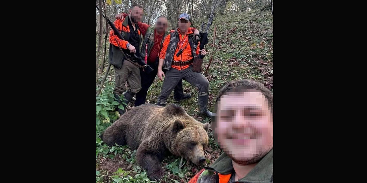 Evlere ve vatandaşlara zarar veren ayı için başlatılan av sonuç verdi, ilk ayı vuruldu