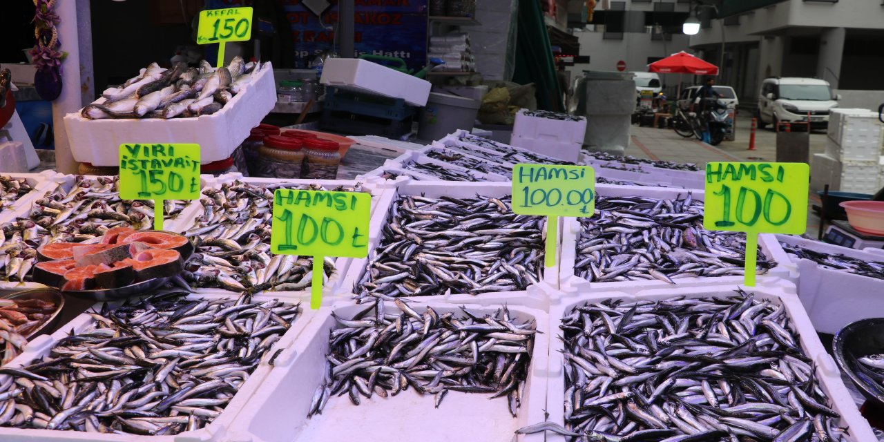 Rize'de hamsinin kilogramı 100 liradan satılıyor
