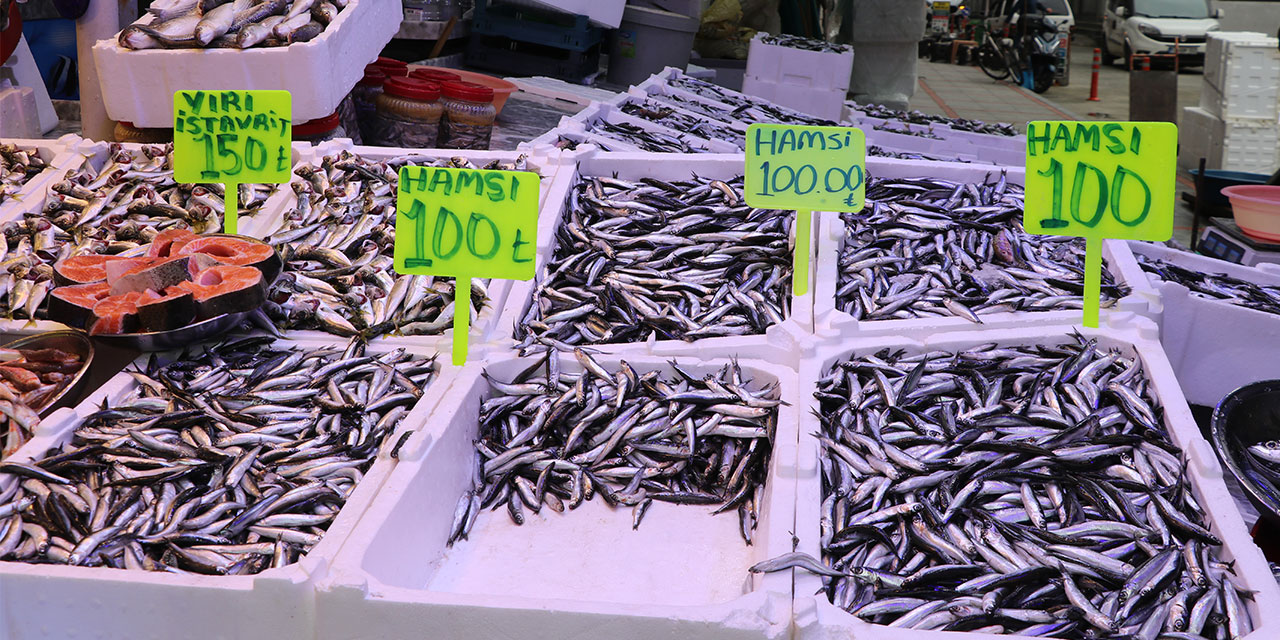 Rize'de hamsinin kilogramı 100 liradan satılıyor