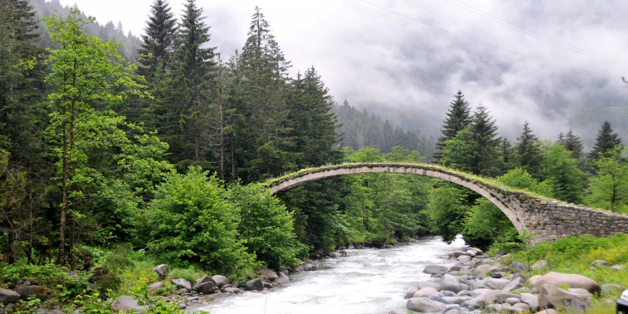 İklim değişikliğiyle mücadelede en etkin silah ormanlar