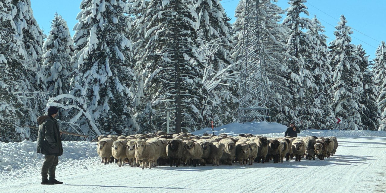 Karla kaplı yaylalarda dönüş yolculuğu
